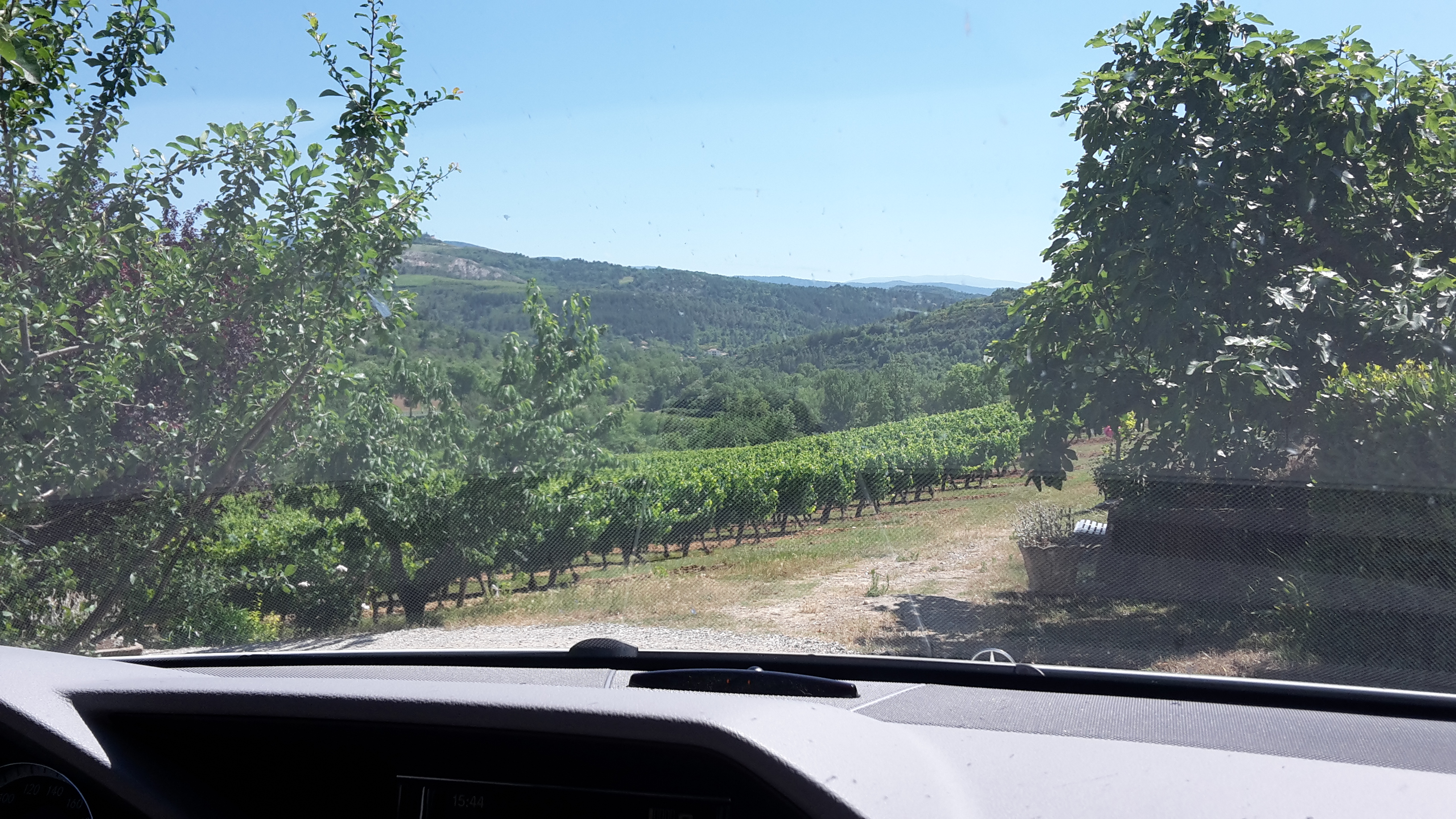 Winery at the end of a gravel road in France (found from following a road sign randomly)