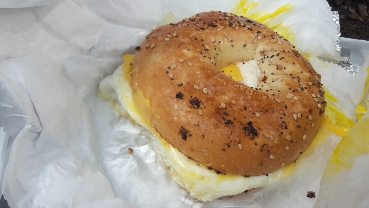 Bagel 20160808_101004