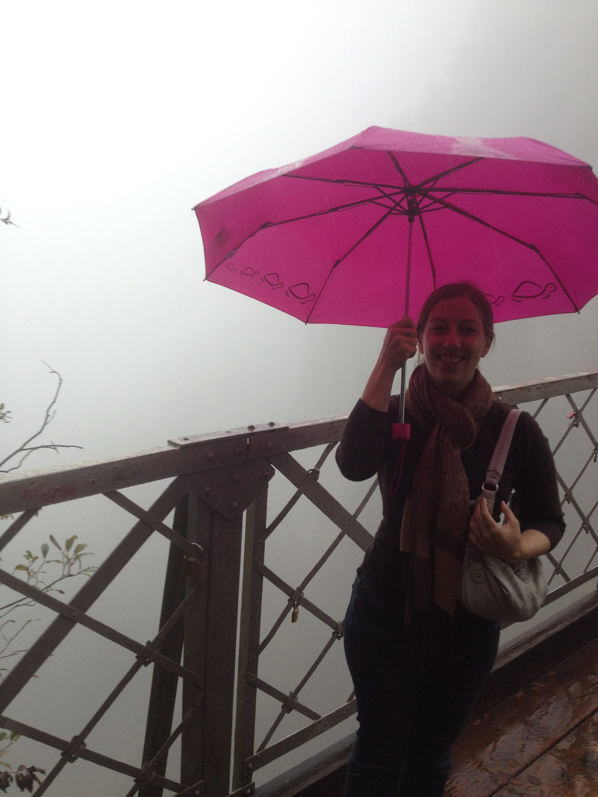 It was a little foggy and rainy. You're *supposed* to be able to see the model for the Disney castle behind me.