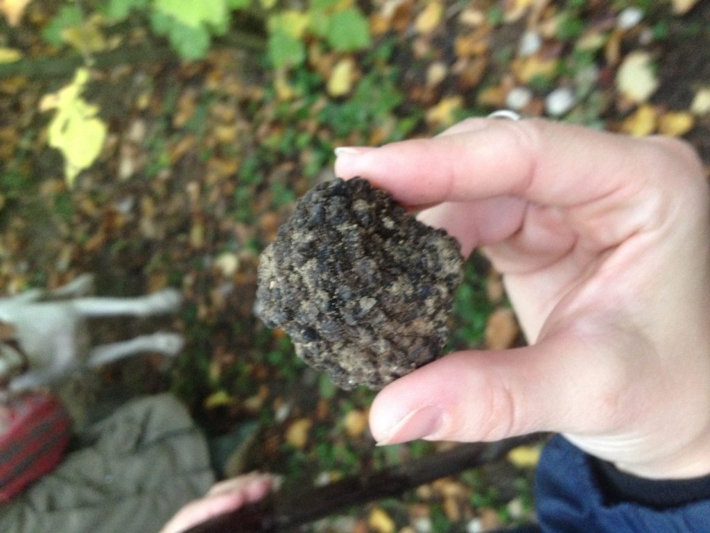 How to Make the Most of Visiting an Italian Truffle Festival - Travel ...