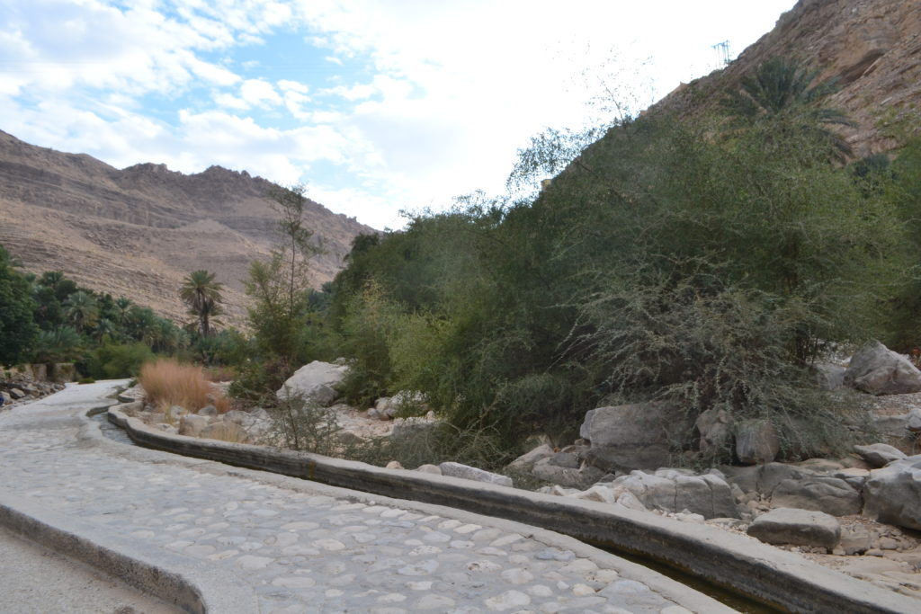 Aflaj irrigation system Oman UNESCO DSC_0450