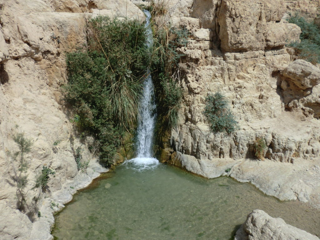 Ein Gedi Israel CIMG0668