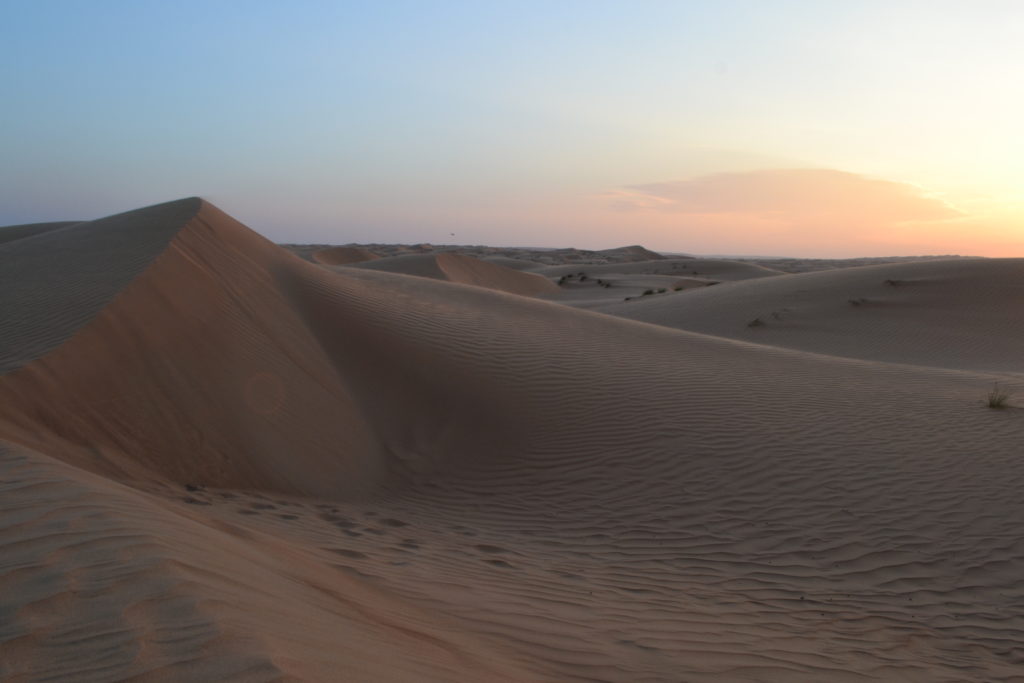 Sharqiya Sands Desert Oman DSC_0246