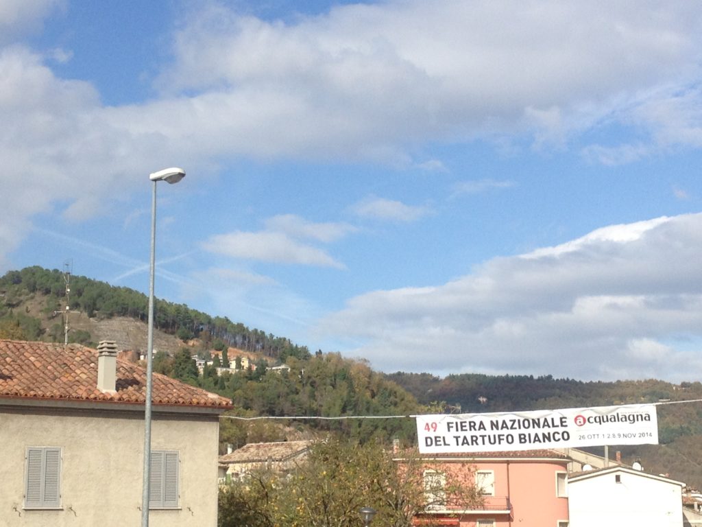 The real reason we're here: white truffle festival in Acqualagna