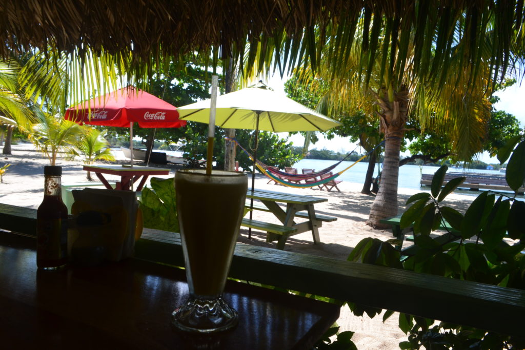 Fresh Juice How to Eat Like a Local in Belize DSC_0307