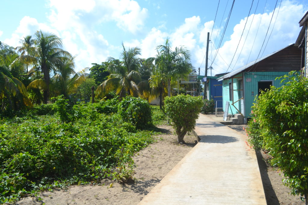 Placencia Belize Rules to Travel By DSC_0298