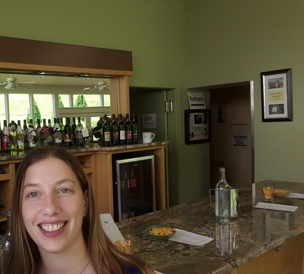 DelFosse Vineyards Tasting Room Best Charlottesville VA Wineries 20170610_121445 (2)