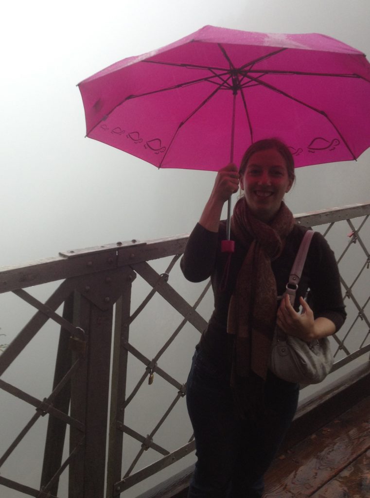 It was a little foggy and rainy. You're *supposed* to be able to see the model for the Disney castle behind me.