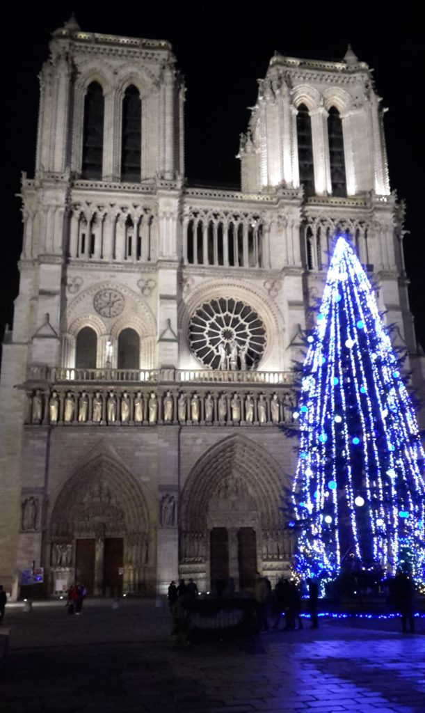 Notre Dame Cathedral Paris France Winter Bucket List How to Make the Most of the Season 20141229_234635 (2)