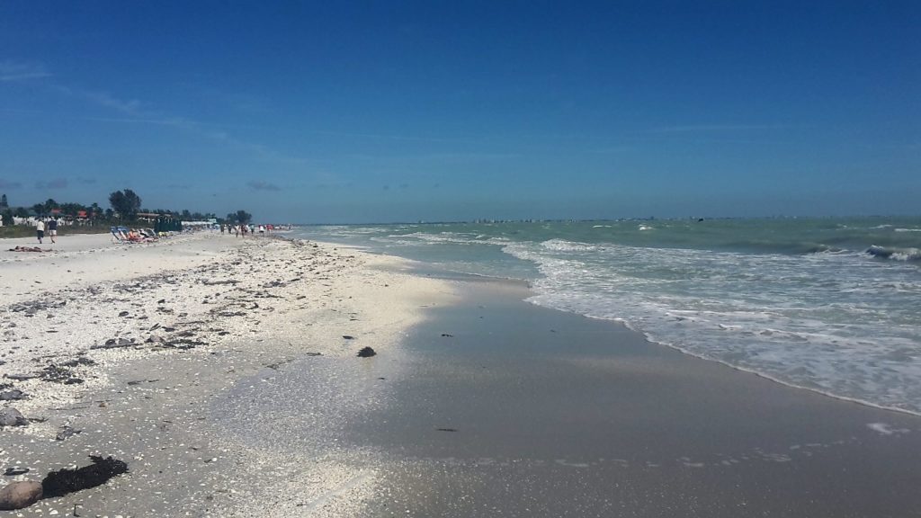 Sanibel Island Florida Shelling Travel Superlatives of 2017 To Inspire Your Next Adventure 20170125_132112 (2)