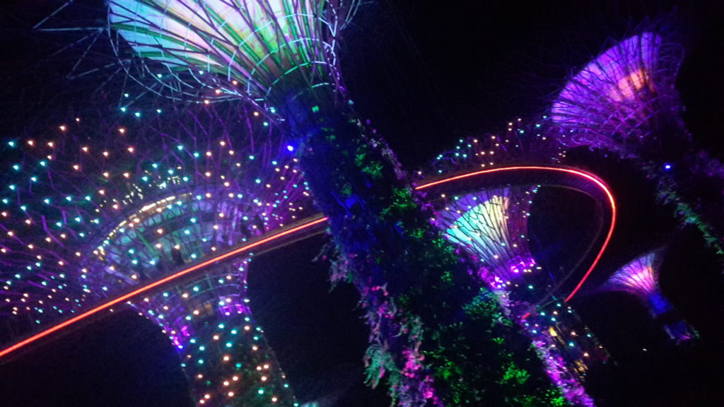 Gardens by the Bay Singapore Best Light Shows Around the World 20161106_195922