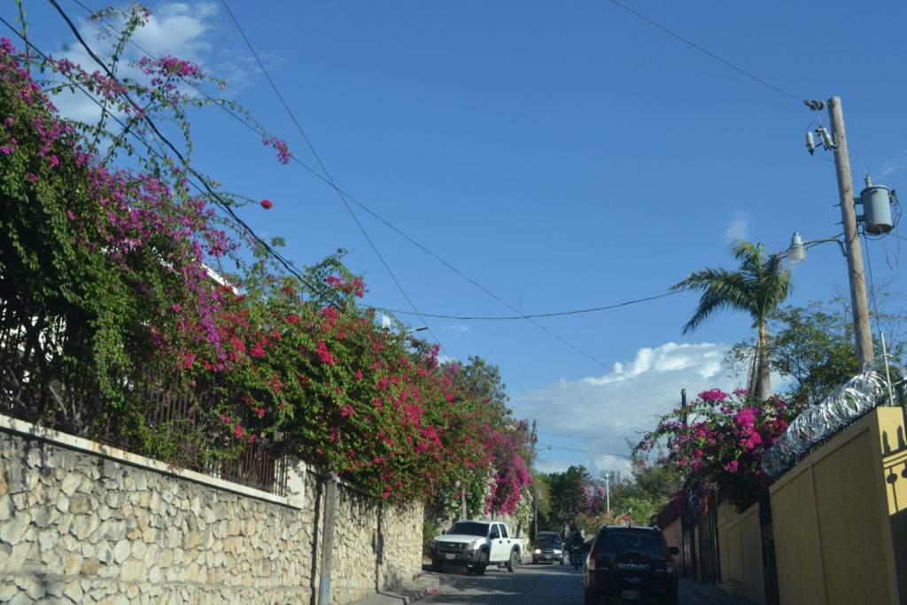 Bougainvillea Things You'd Never Guess to Expect on a Trip to Haiti DSC_0327