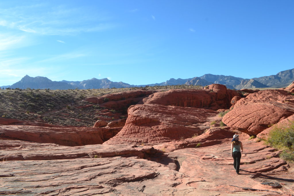 Enjoying the view Rock Climbing in Red Rock Canyon Day Trip from Las Vegas, Nevada DSC_0093