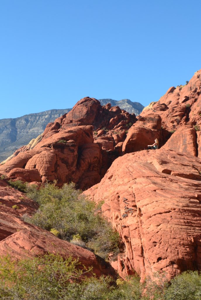 Enjoying the view Rock Climbing in Red Rock Canyon Day Trip from Las Vegas, Nevada DSC_0118