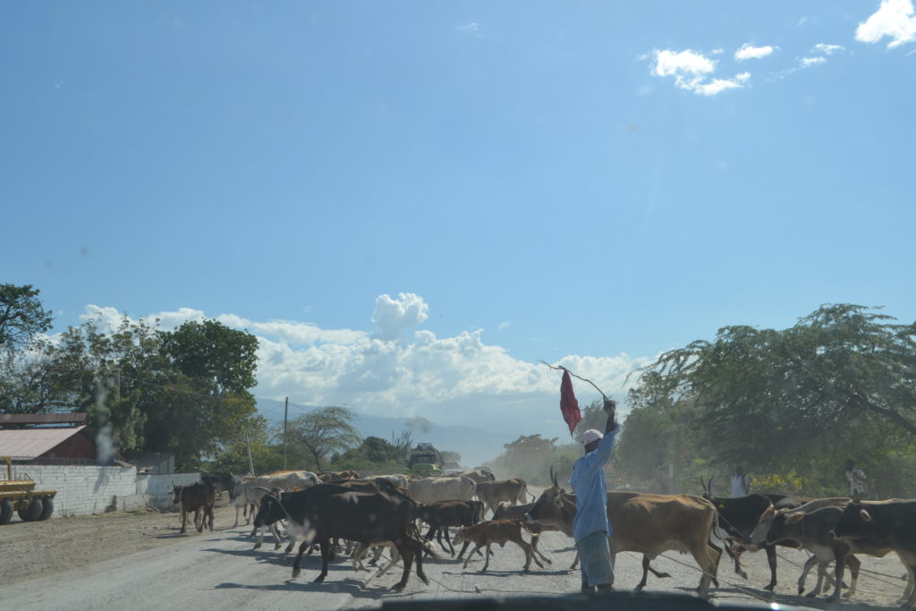 Traffic Things You'd Never Guess to Expect on a Trip to Haiti DSC_0084