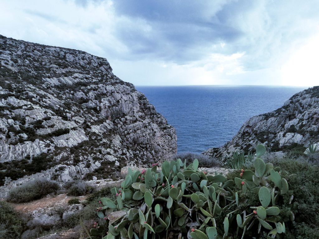 Coastal Hike Wied Babu Park Top 12 Reasons to Go To Malta & Malta Travel Tips 20181004_162213