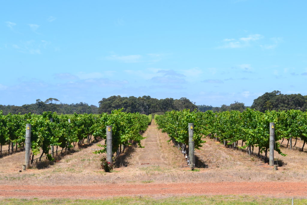 22+ Margaret River Wineries Open PNG